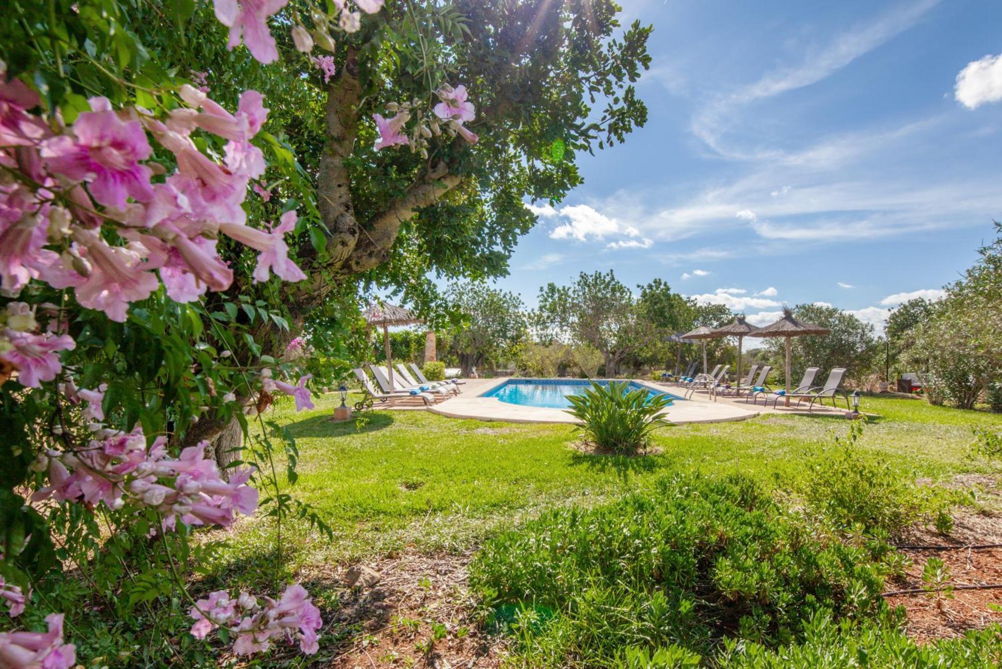 Finca Son Marimon (Adults Only) ซานตานยี ภายนอก รูปภาพ