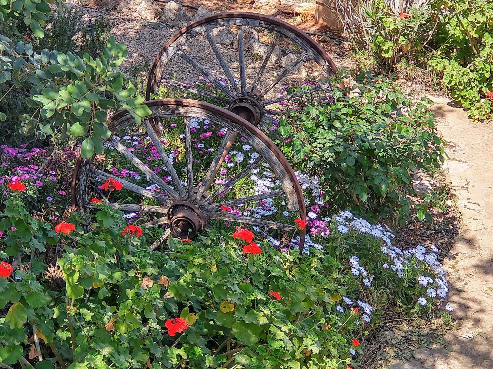 Finca Son Marimon (Adults Only) ซานตานยี ภายนอก รูปภาพ