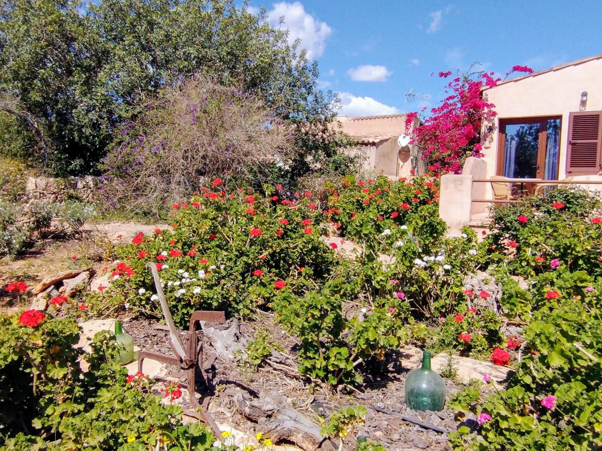 Finca Son Marimon (Adults Only) ซานตานยี ภายนอก รูปภาพ