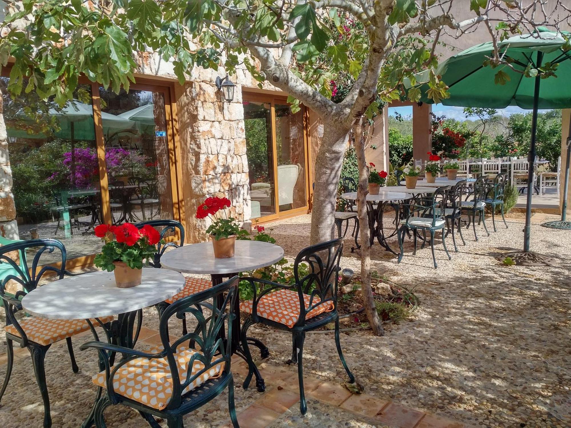 Finca Son Marimon (Adults Only) ซานตานยี ภายนอก รูปภาพ