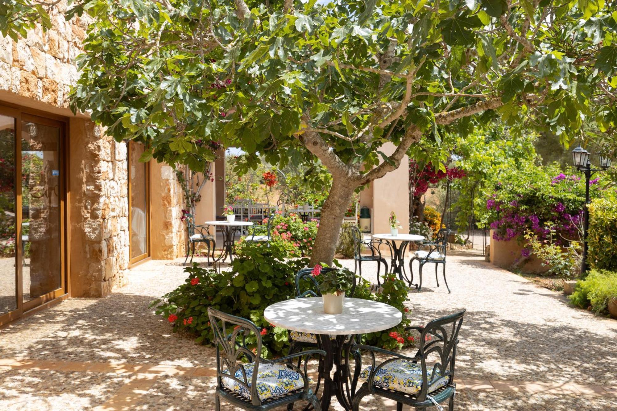 Finca Son Marimon (Adults Only) ซานตานยี ภายนอก รูปภาพ